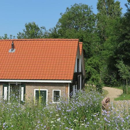 Het Kunstenaarshuis Kamperland Exteriér fotografie