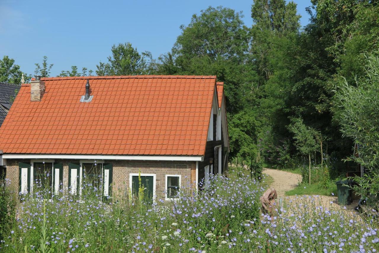 Het Kunstenaarshuis Kamperland Exteriér fotografie